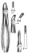 Dental Forceps, English  Pattren