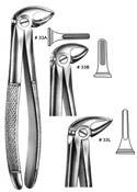 Dental Forceps, English  Pattren