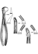 Dental Forceps, English  Pattren