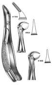 Dental Forceps, English  Pattren