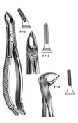 Dental Forceps, English  Pattren