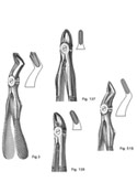 Dental Forceps, English  Pattren