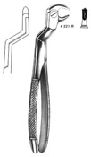 Dental Forceps, English  Pattren