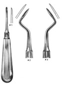 Root Elevators