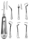 Root Elevators