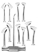 Root Elevators