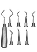 Root Elevators