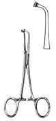 Gum & TissuseForceps